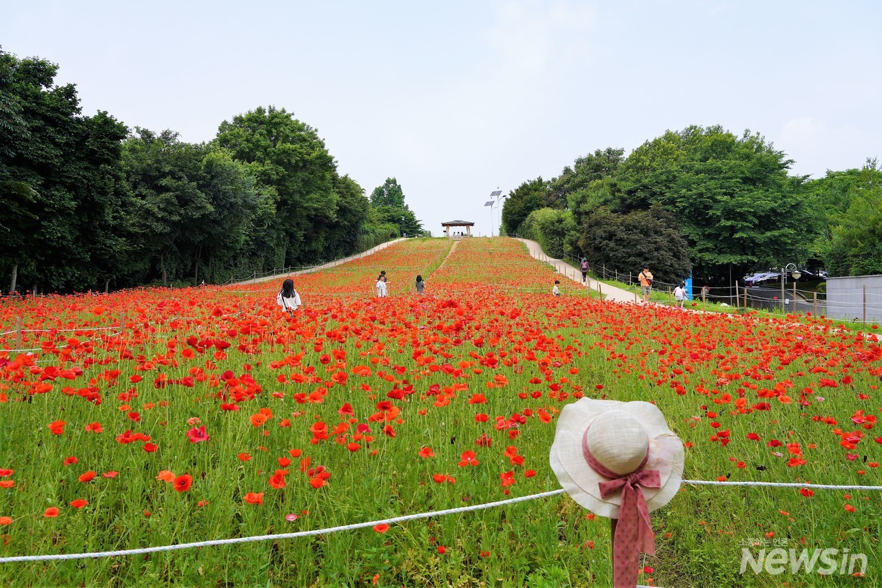 모자가 있는 풍경도 멋지네요