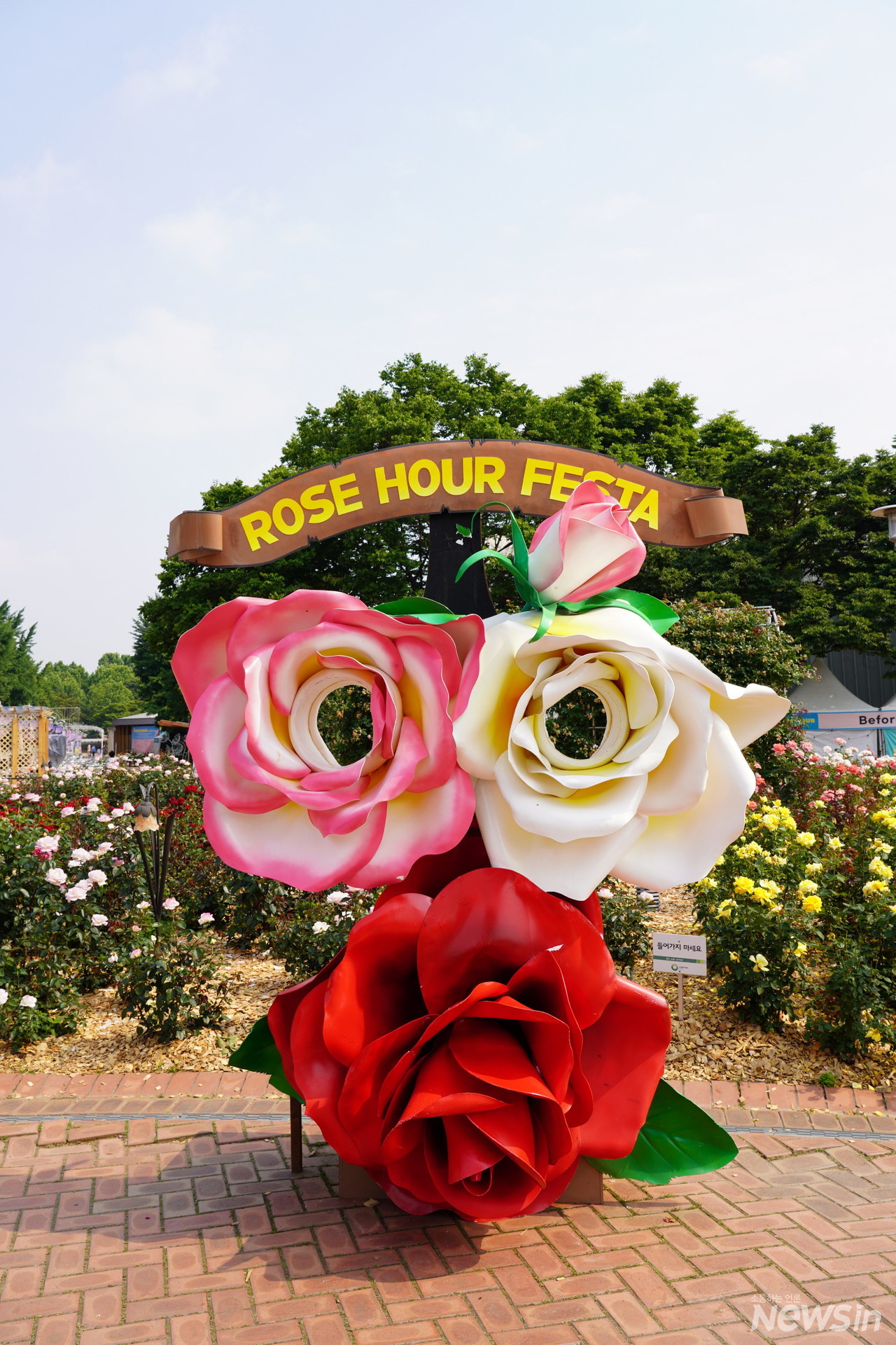 대형으로 만든 장미작품이 찾는 이들에게 최고의 포토존입니다