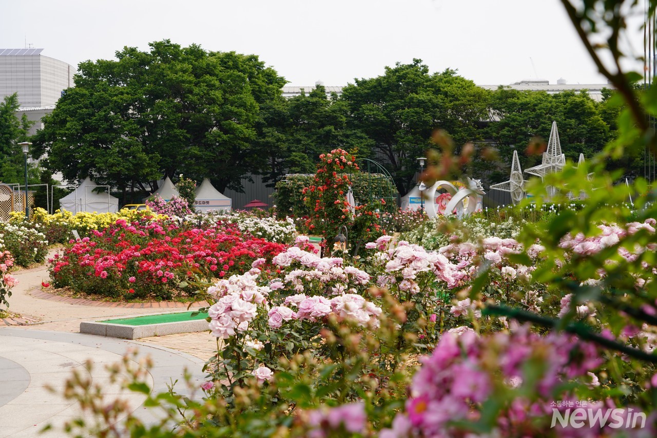 절정기는 지났지만 아직도 너무나 아름다워요