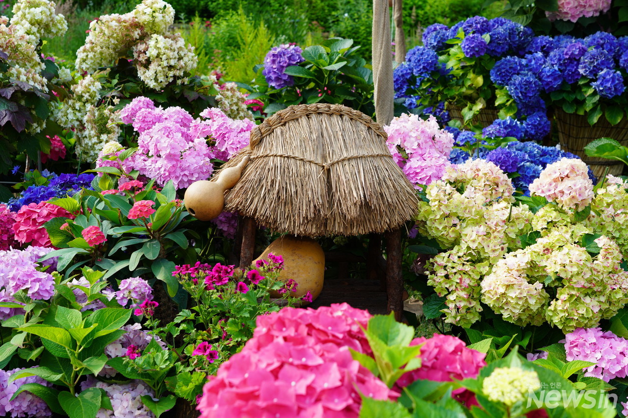 초가집과 앤들레스 썸머