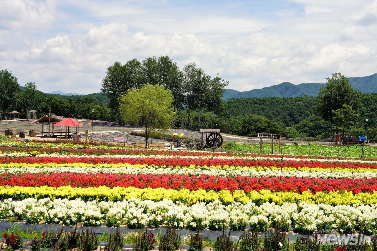 물레방아가 있는 풍경도 참으로 멋지다