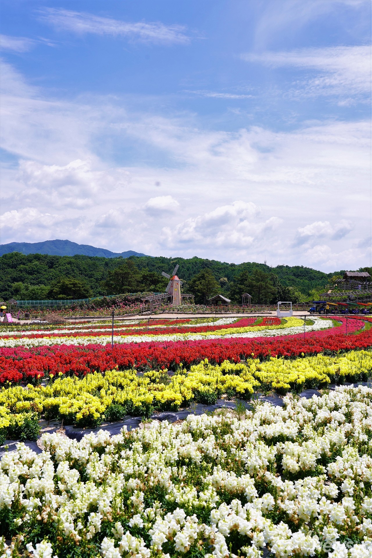 네덜란드에 온 것 같은 풍경