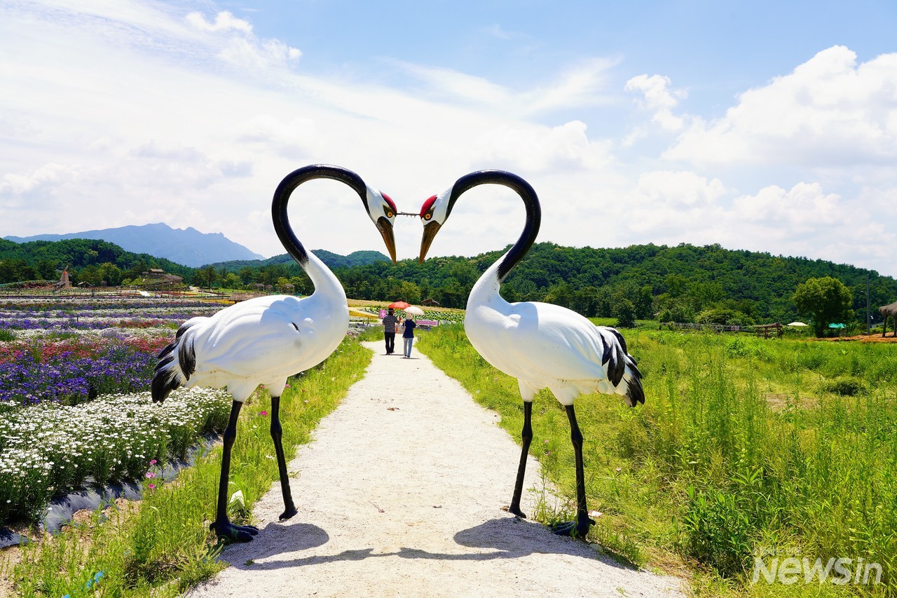철새들의 낙원인 철원은 어딜가나 두루미 작품을 볼 수 있다
