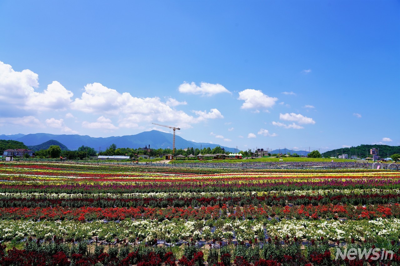 무지개같은 꽃밭의 풍경이 어릴적 달력을 본 느낌이다