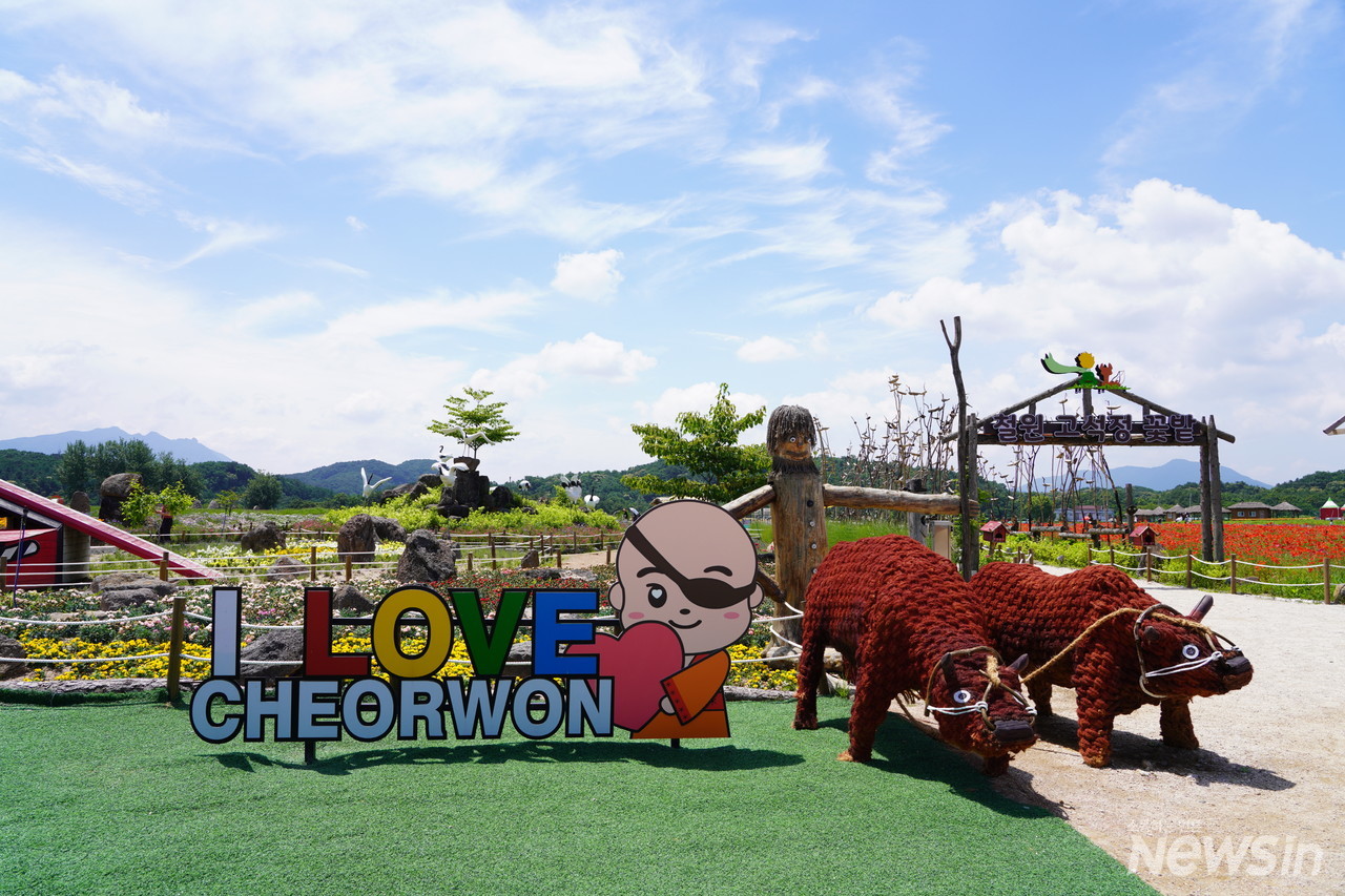 ‘아이 러브 철원’