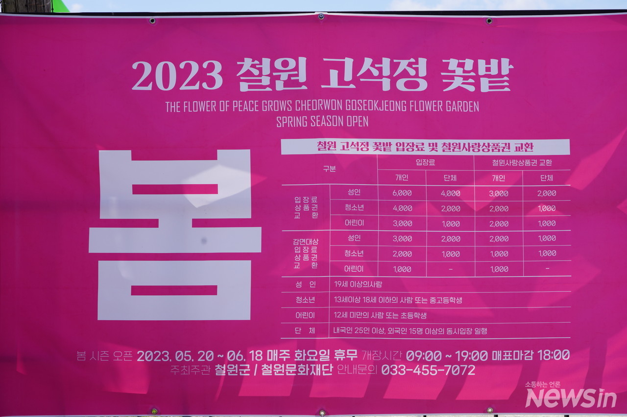 이번 주 일요일이면 축제 끝