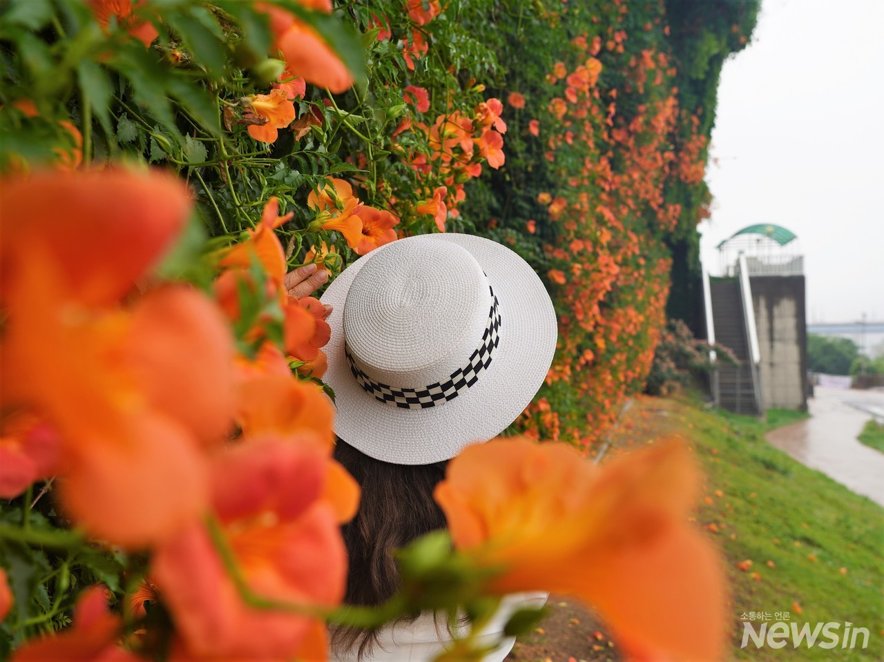 하얀 모자를 쓴 모델이 능소화와 데이트를 하고 있는 모습이 너무나 멋지다