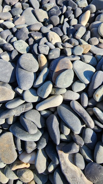 사진=[이은미 작가]