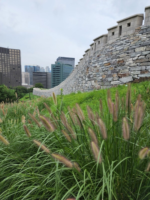 사진=[이은미 작가]