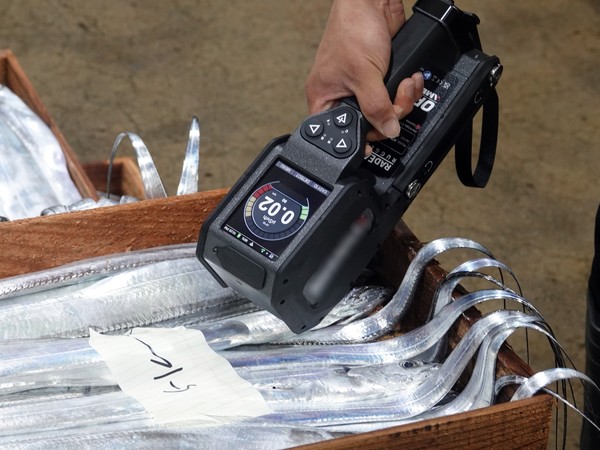 일본 후쿠시마 원전 오염수 방류가 예정된 24일 오전 제주시 수협 수산물 위판장에서 직원들이 휴대용 방사능 검출 장비를 이용해 수산물 경매에 오를 갈치에 대한 방사능 검사를 하고있다.2023.08.24