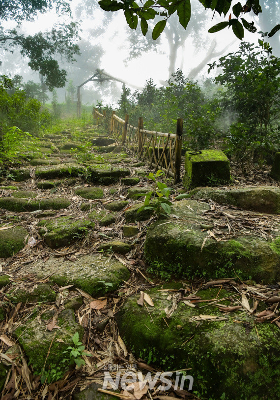 ▲경사가 20도에 달하는 징마이다자이(景邁大寨)의 차마고도 유물인 돌계단 오솔길.