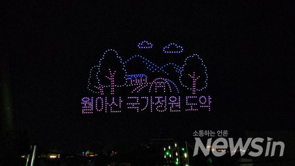 드론쇼를 펼치고 축제에 개막을 알리고 있다.