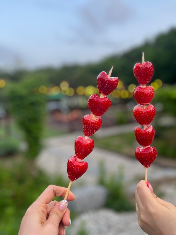 하트탕후루 (사진)