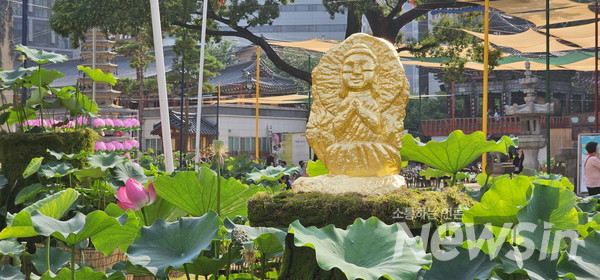 연꽃축제 조계사 ‘마음의 평안을 주다“(사진=정경호 기자)