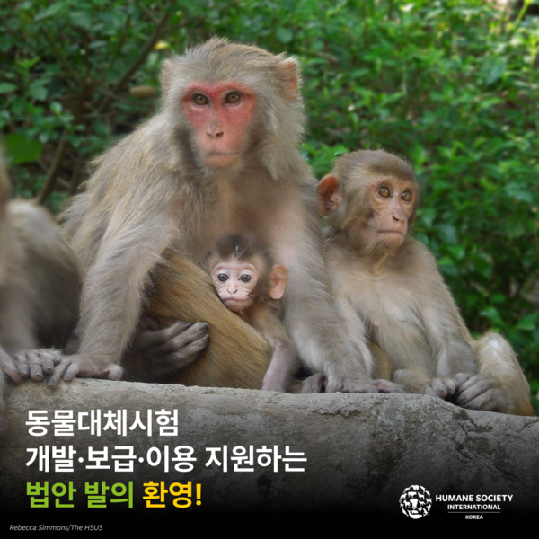 [이미지파일] 한국HSI_동물대체시험법_환영