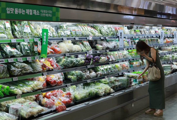 2일 오후 서울의 한 대형마트에서 소비자들이 다양한 채소를 살펴보고 있다. 2024.08.02.