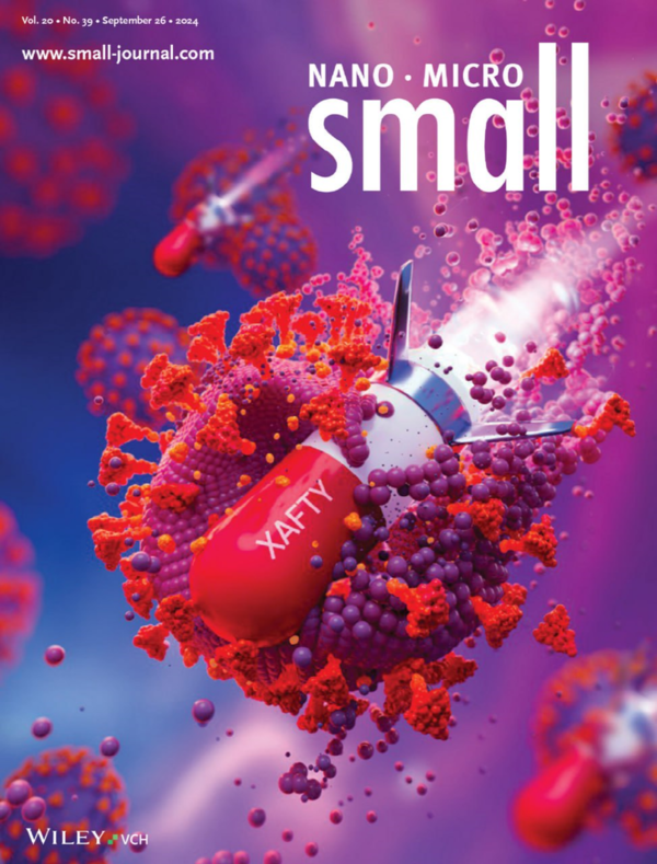 Small지 표지논문에 선정된 제프티. (제공= 현대바이오)