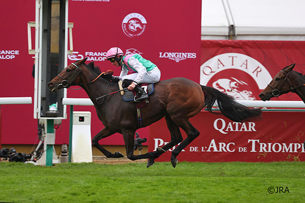 (사진)제103회 파리 개선문상 우승마 블루스토킹(출처 JRA)