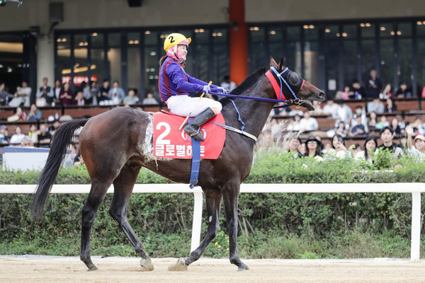 (사진)대통령배 우승마 글로벌히트와 김혜선기수 우승 세리모니 (2)