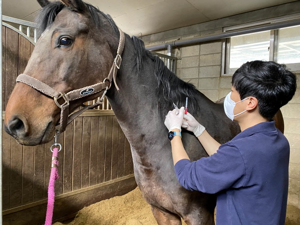 (사진)하반기 전국 백신접종사업 신청접수