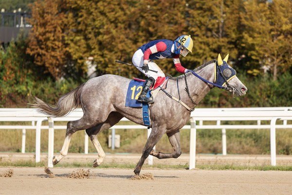 (사진)농협중앙회장배 우승마 캡틴피케이와 김정준 기수