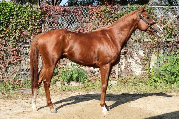 (사진)베스트대로