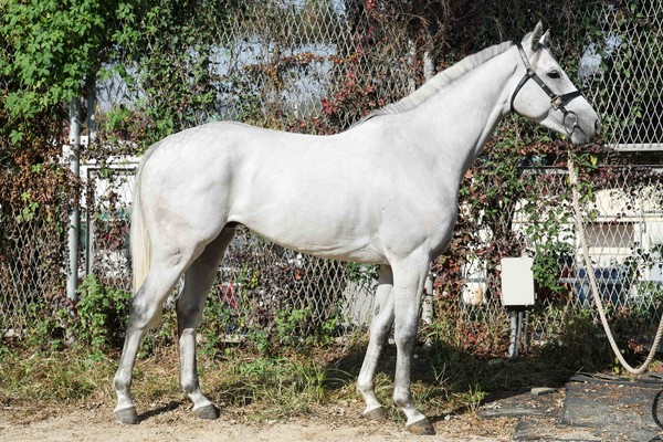 (사진)라파예트