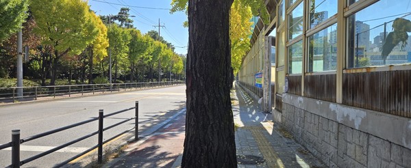 서울 성북구 한천로길 (시인·사진 수집가 장재필)