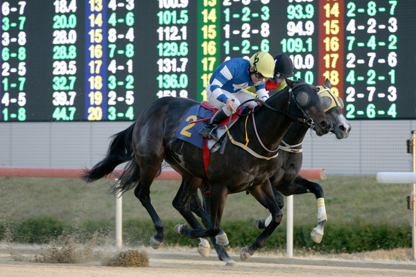 (사진) 판타스틱킹덤