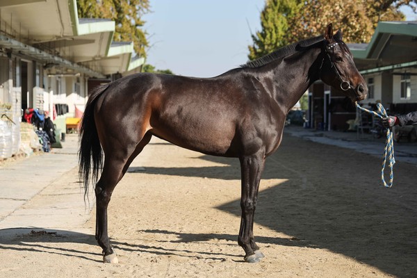 (사진)용비파워