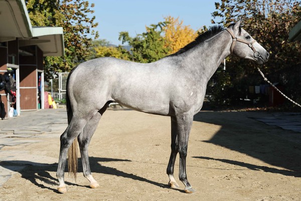 (사진)프린스데이