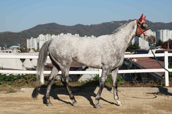 (사진)더페이버릿