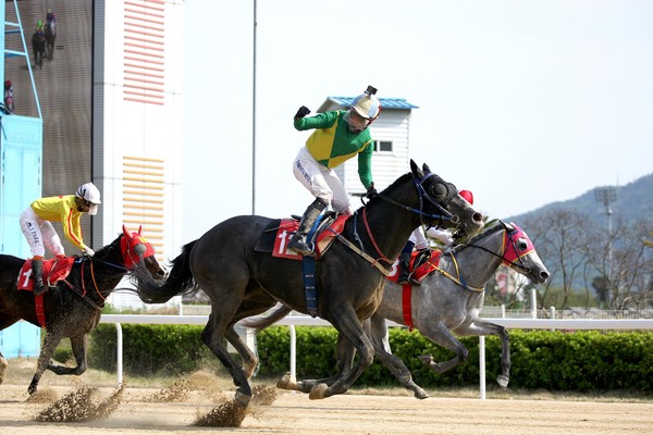 (사진)석세스백파