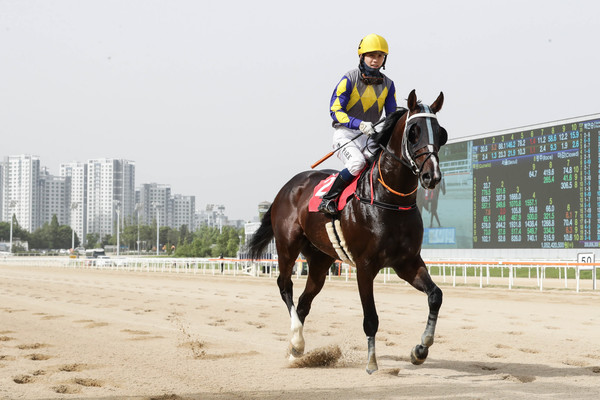 (사진)투혼의반석