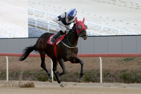 (사진)스피드영