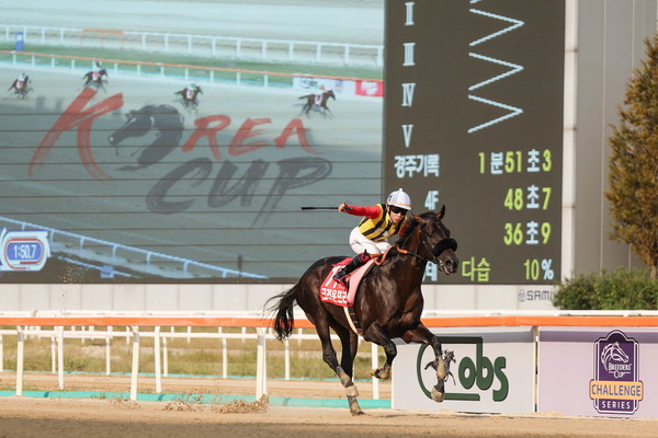 (사진)24년 코리아컵 우승, 일본의 크라운프라이드와 요코야마 기수 세리모니 니