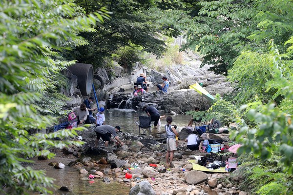 경기 양주시 송추계곡에서 피서객들이 더위를 식히고 있다.