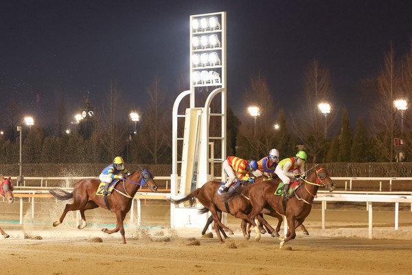 (사진)25년 1월 12일 첫 1등급 경주 우승한 '빈체로카발로'와 조재로 기수