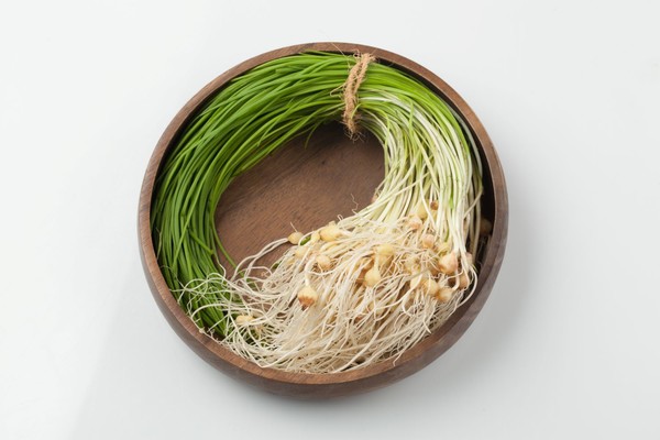 [사진설명] 달래 (출처 - 어도비 스톡)