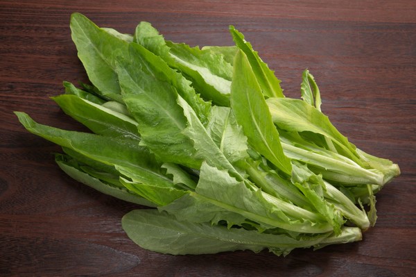 [사진설명] 씀바귀 (출처 - 어도비 스톡)