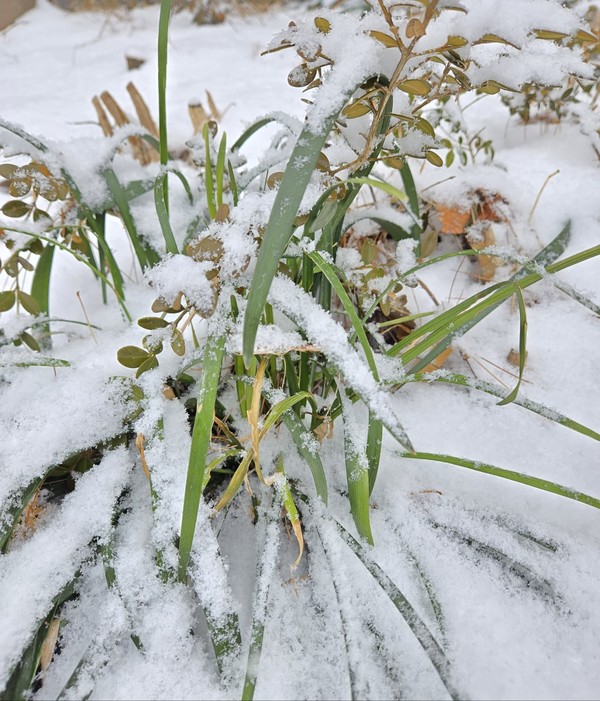 서울 성북구 석계역 문화거리(시인·사진 수집가 장재필)