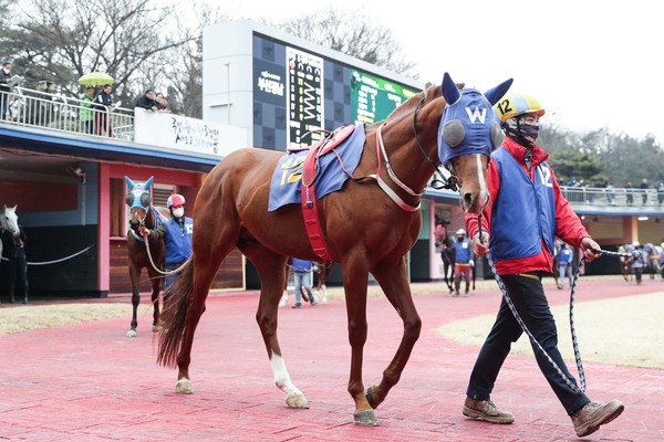 (기획1)(사진)24년 2월 18일 세계일보배 빅스고