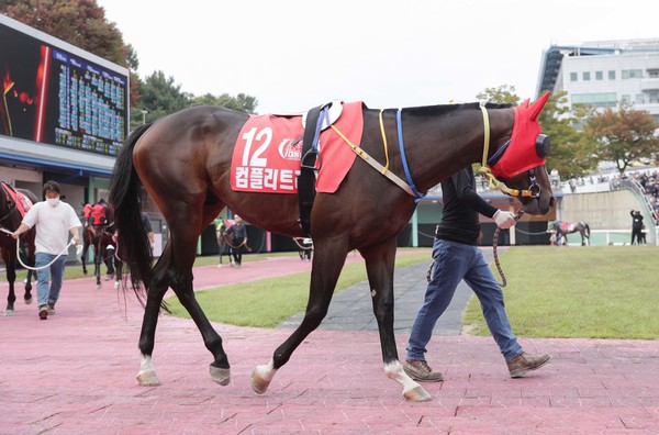 (기획1)(사진)24년 10월 13일 대통령배 컴플리트레벨