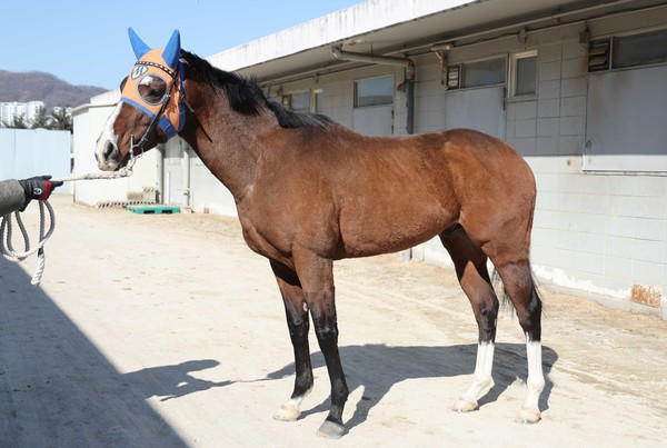 (기획1)(사진)25년 2월 5일 아이엠짱