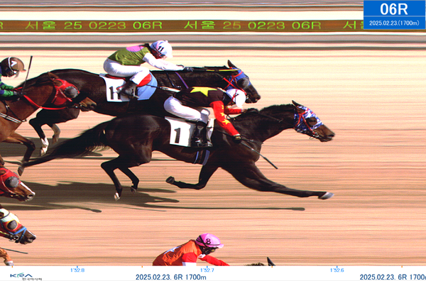 250223-6r_0.2초 사이에 6마리가 결승선 통과