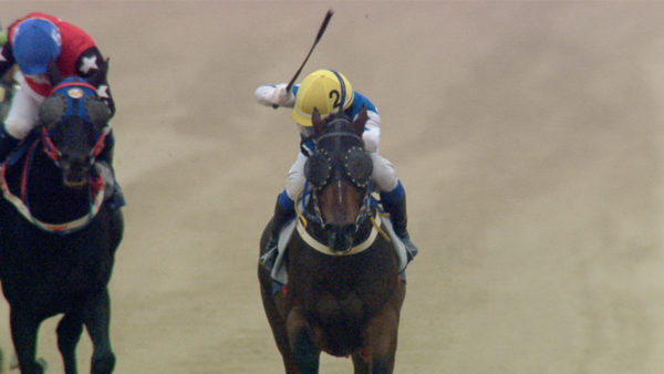 250216-8r_세계일보배 '크라운함성' 깜짝우승