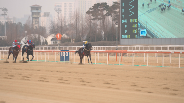 250216-8r_세계일보배 절대 내주지 않을거야 1위