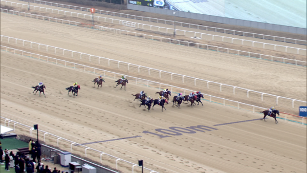 250216-8r_세계일보배 다크호스의 여유있는 선행