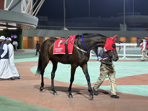 7번 글로벌히트(출발게이트는 4번)