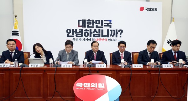 권영세 국민의힘 비상대책위원장이 6일 오전 서울 여의도 국회에서 열린 비상대책위원회의에서 발언을 하고 있다. 2025.03.06